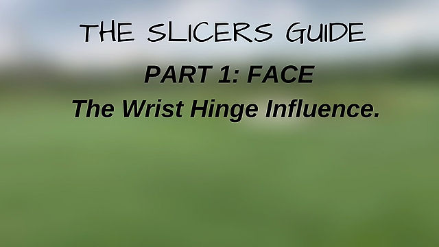 Slicing Guide: Part 1: Face - Wrist Hinge